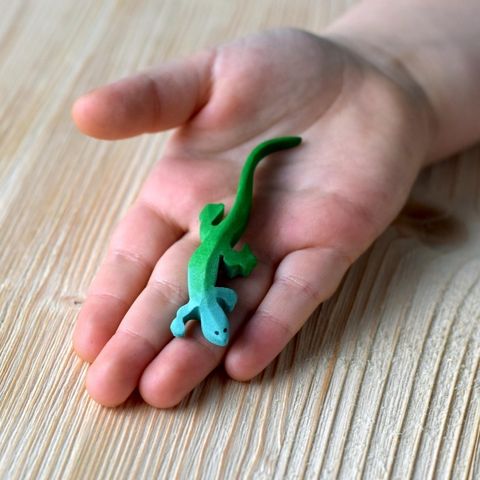 lizard~3739