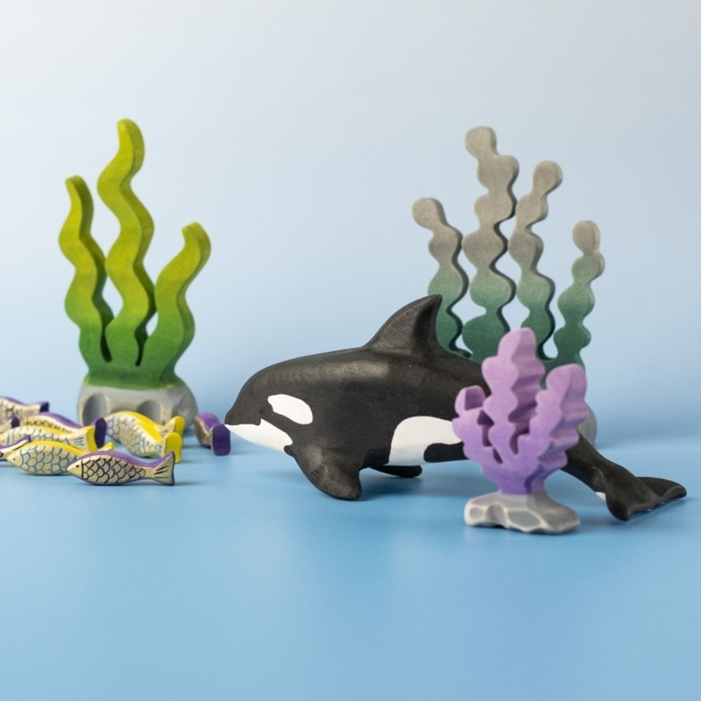 orca~8177