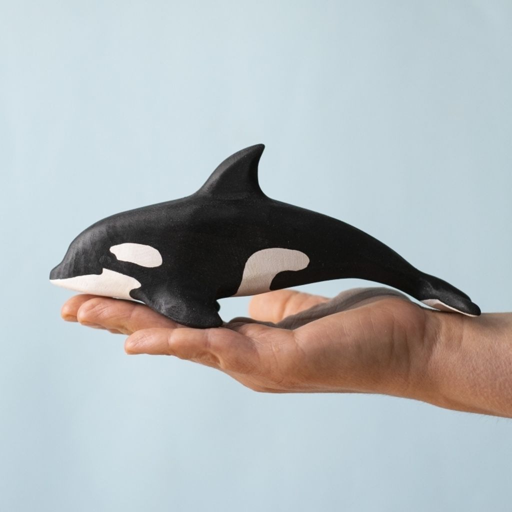 orca~8178