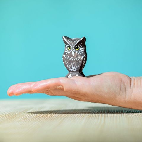 owl~3206