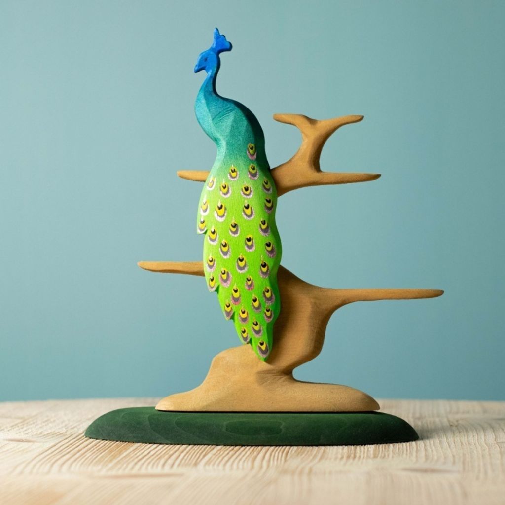 peacock~2488