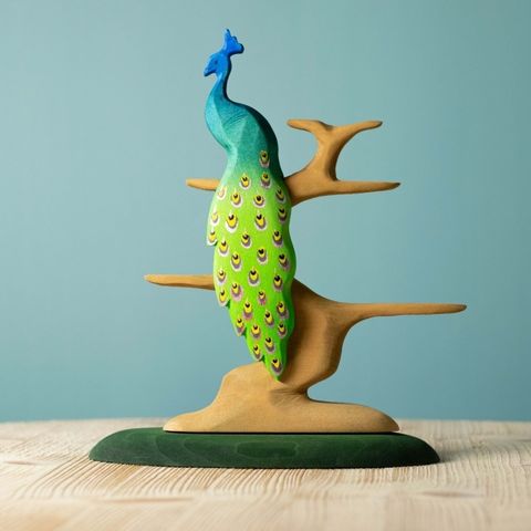 peacock~2488