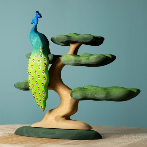 peacock~4551