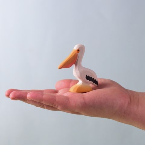 pelican~7811