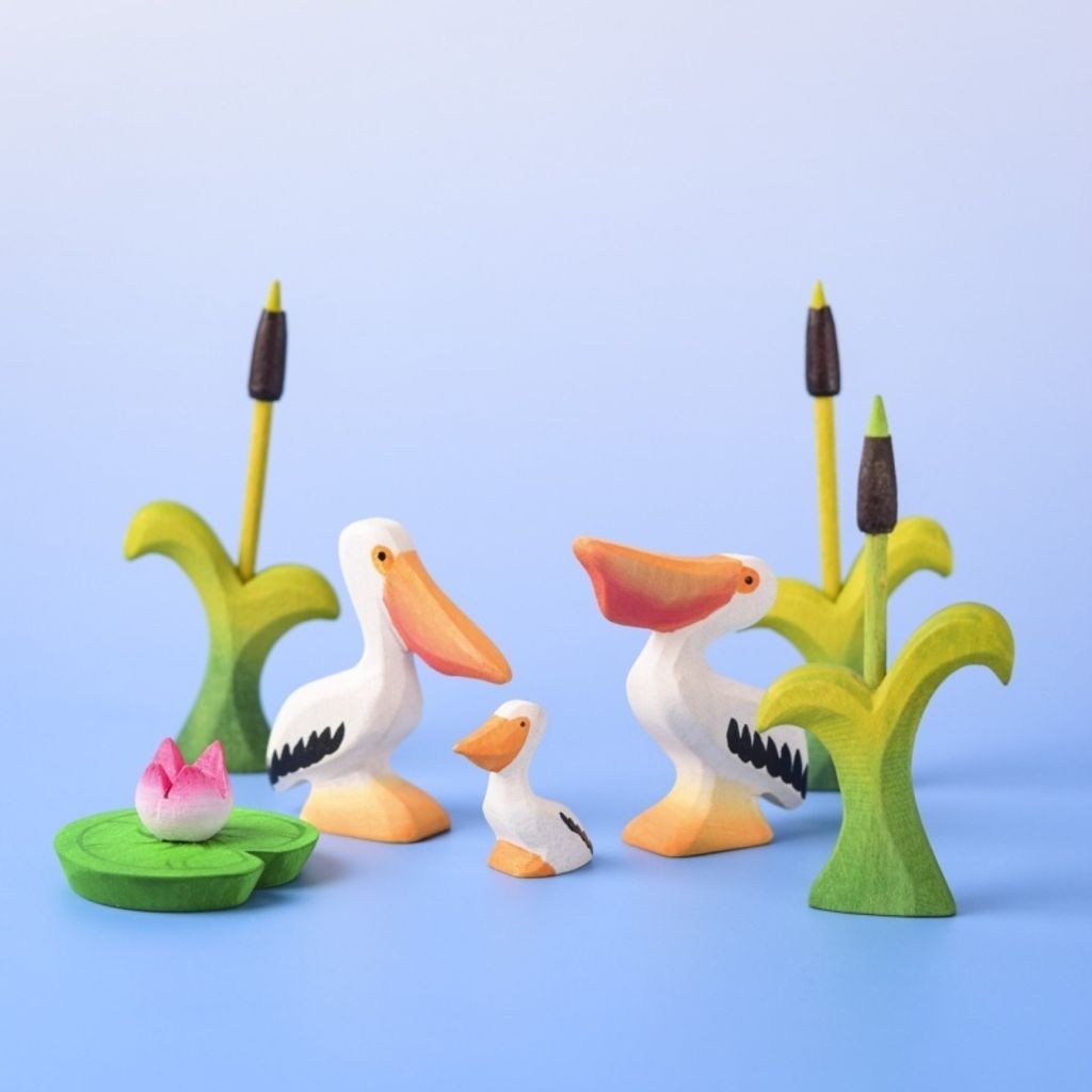 pelican~7820