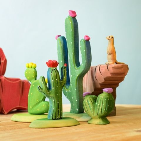 mexican-cactus~7015