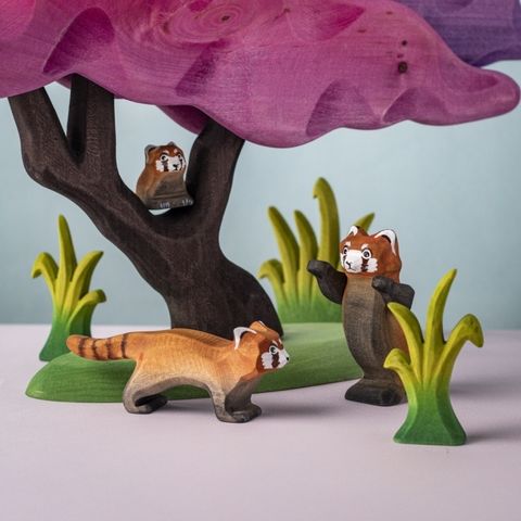 playful-red-panda~7926