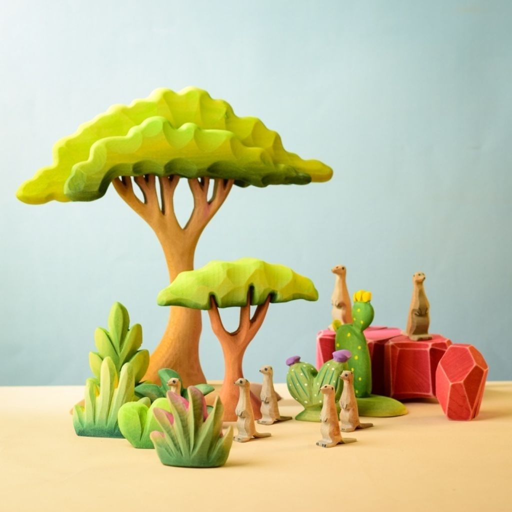 savanna-bush~7081