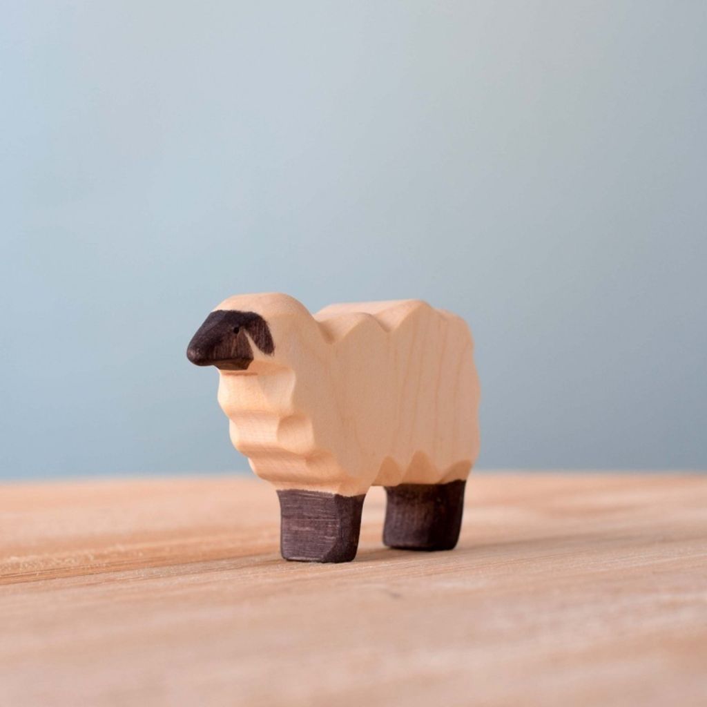 sheep~2433
