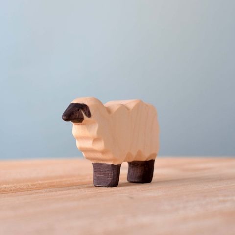 sheep~2433