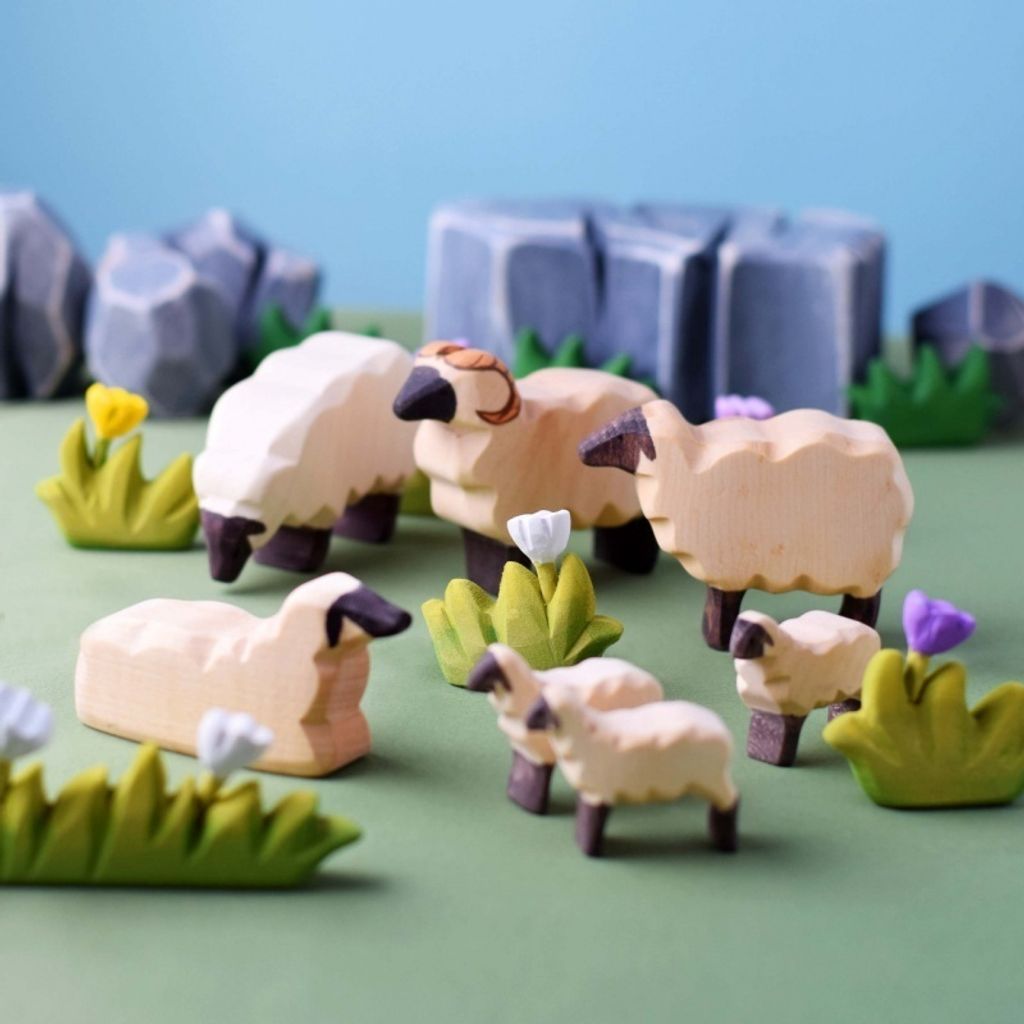 sheep~4267