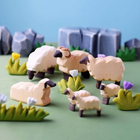 sheep~4267