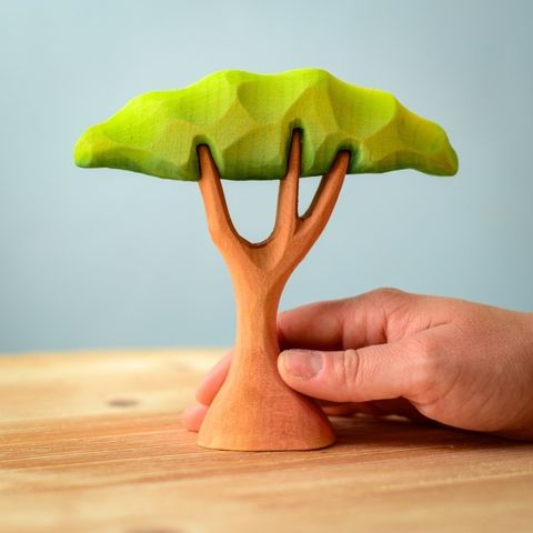 small-acacia-tree~7061