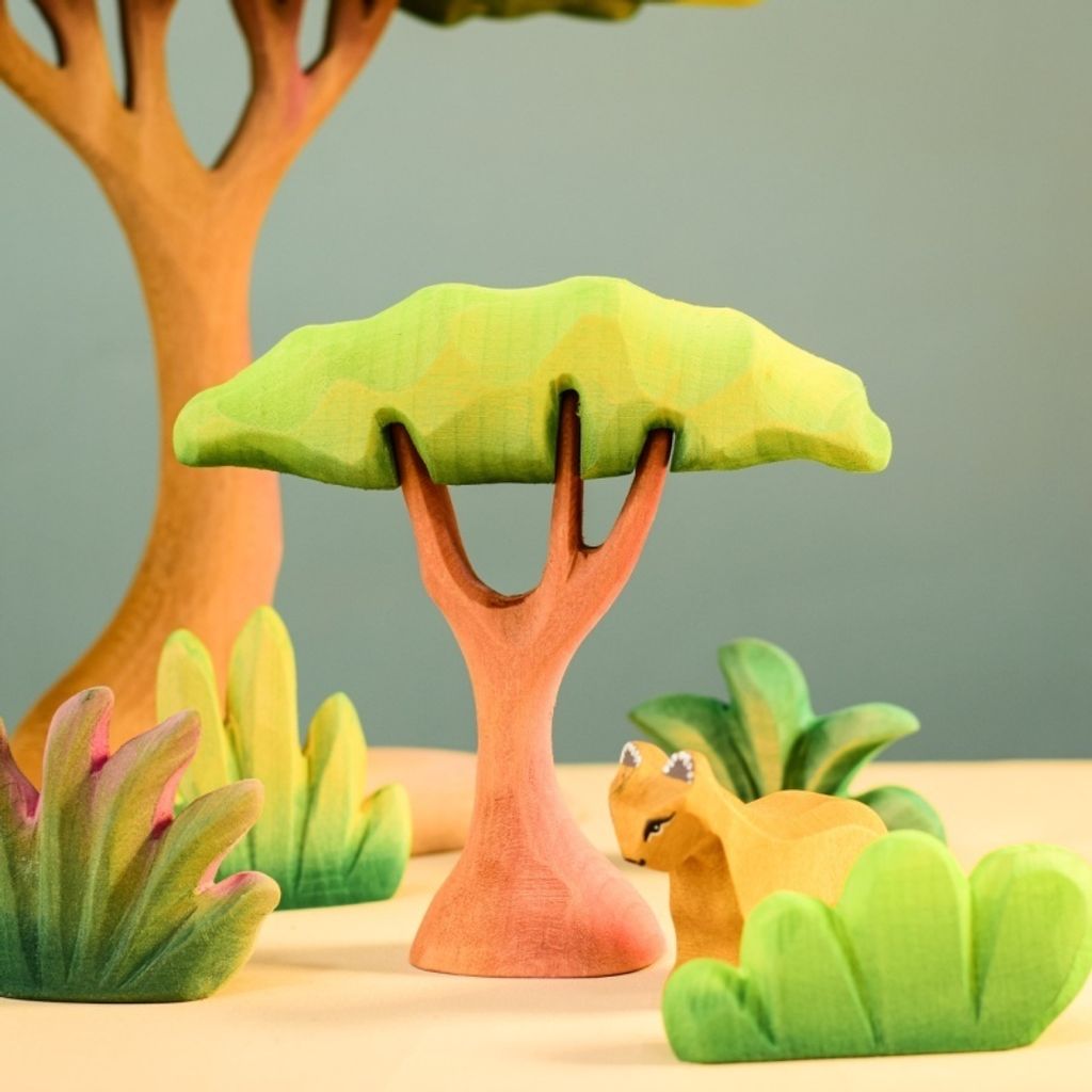 small-acacia-tree~7064