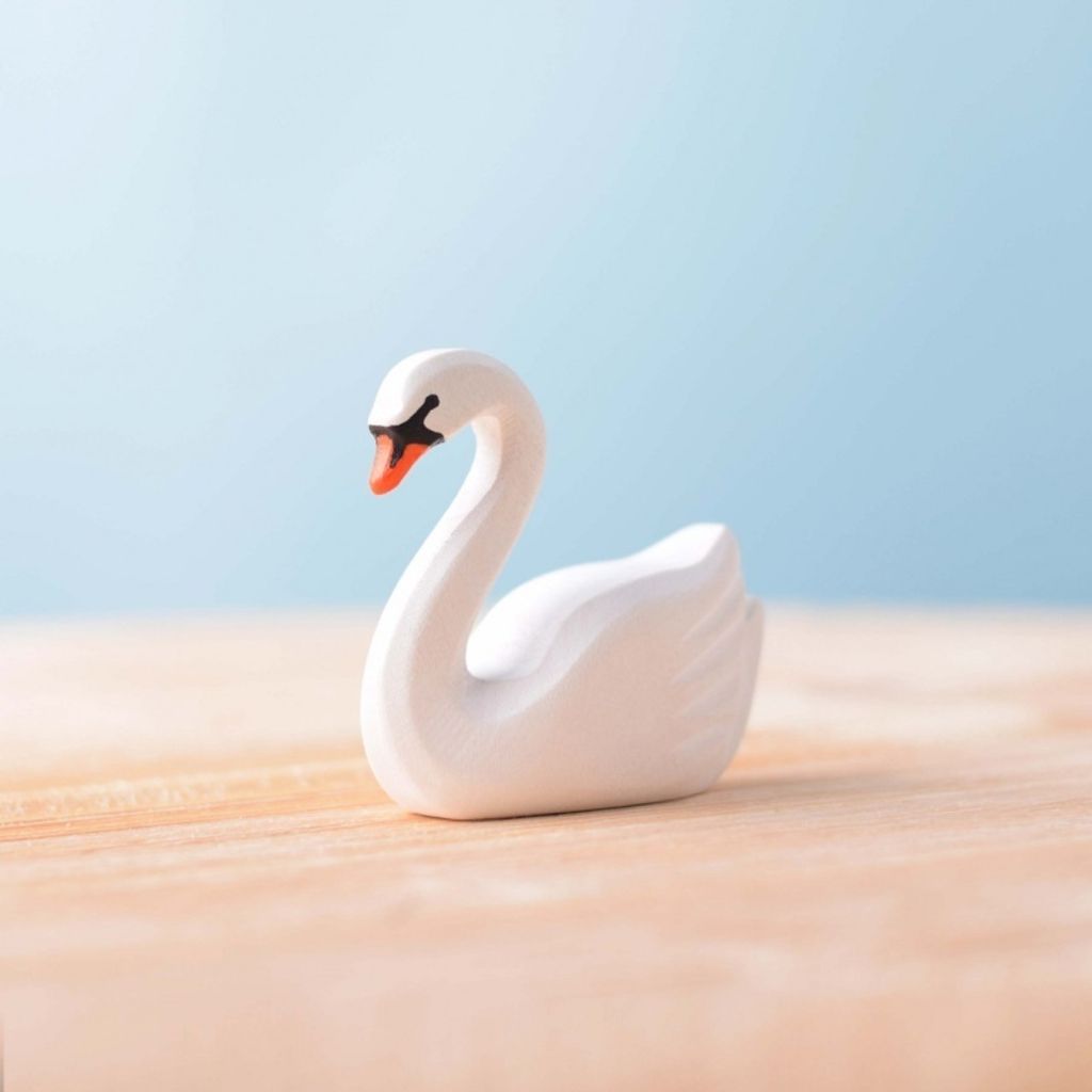 swan~2409