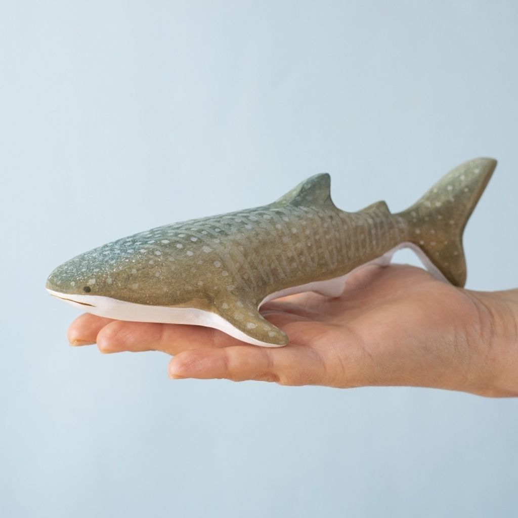 whale-shark~8257