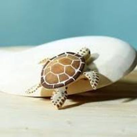 images