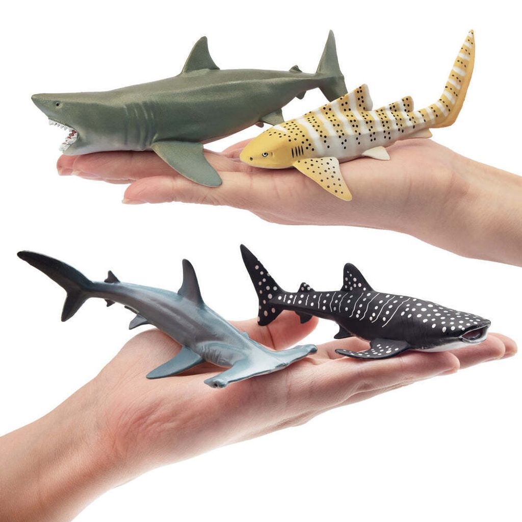 6-PieceSharkSet-onhand