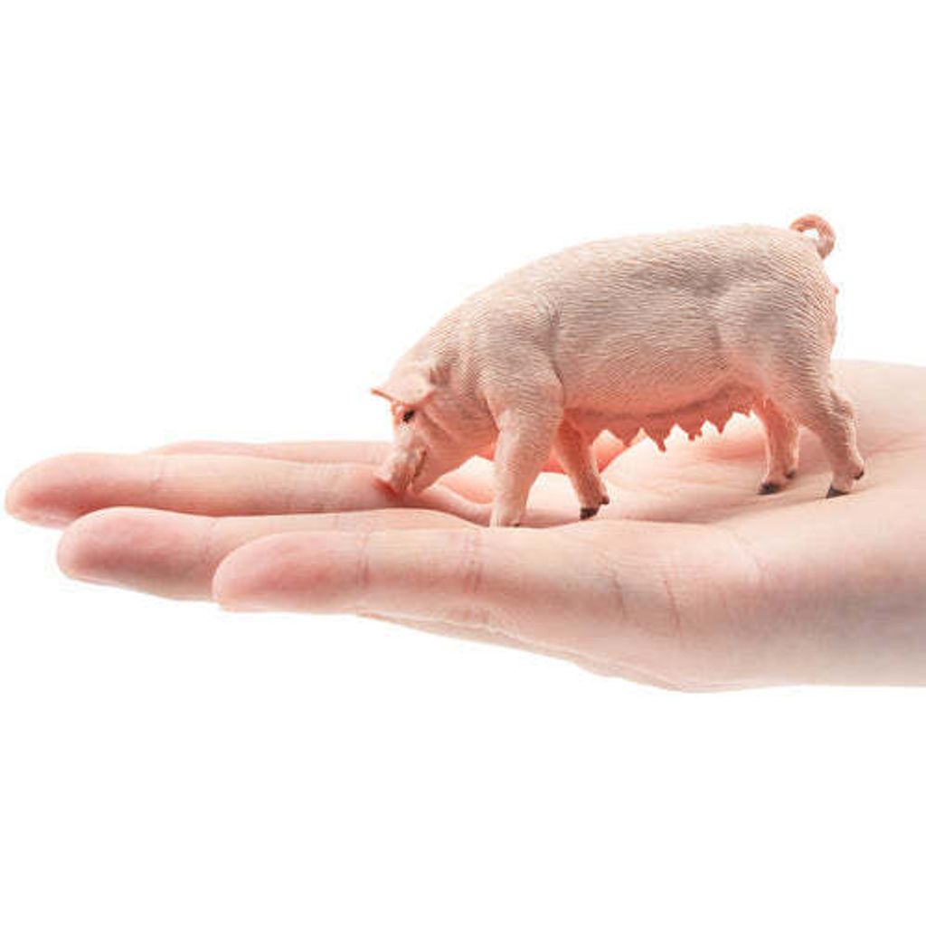ToymanyStandingFemaleAdultPigFigurineToy-onhand