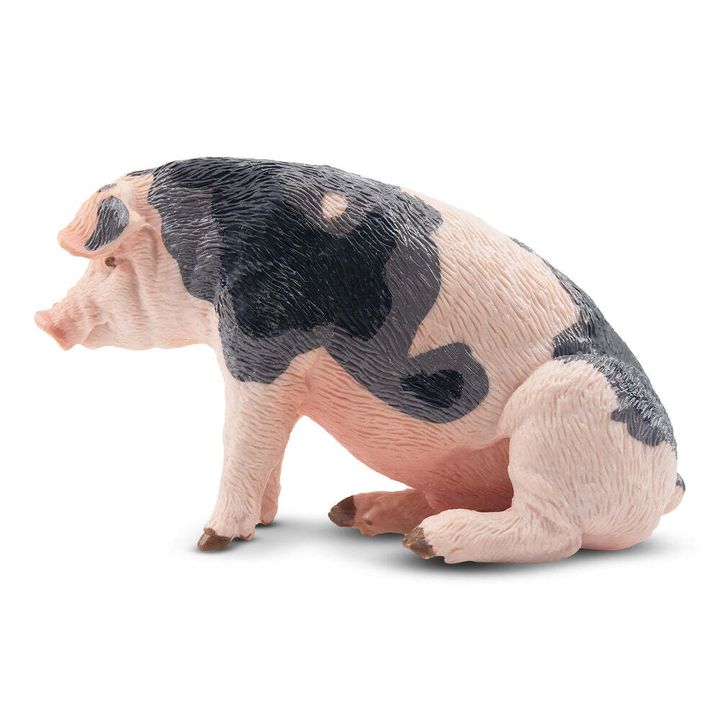 ToymanySittingGreyMaleAdultPigFigurineToy
