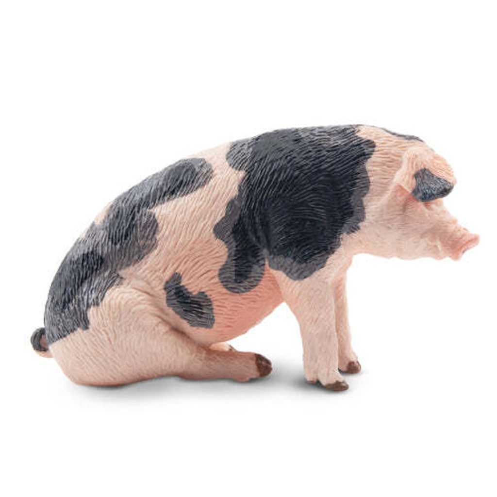 ToymanySittingGreyMaleAdultPigFigurineToy-2