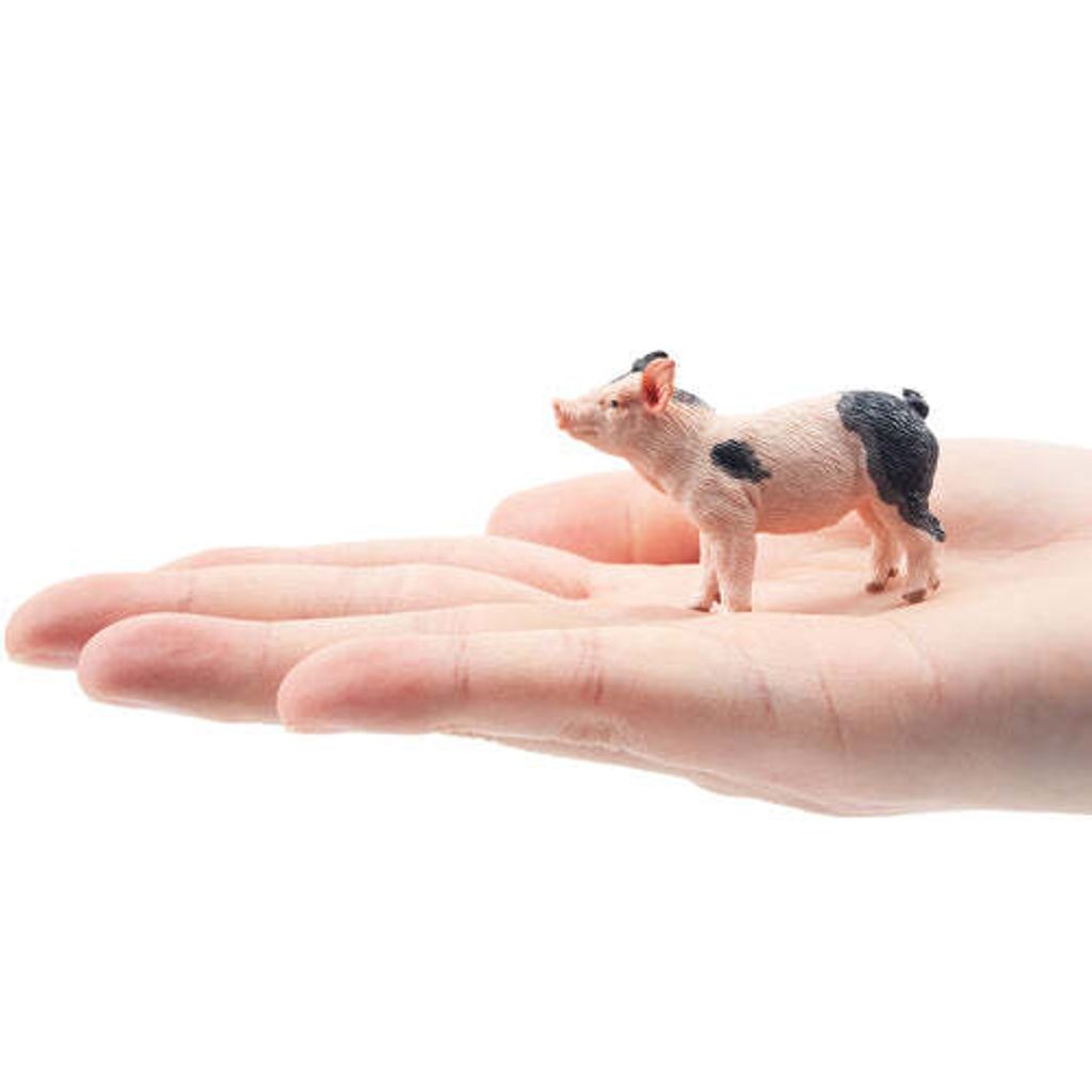 ToymanyGazingGreyPigletFigurineToy-onhand