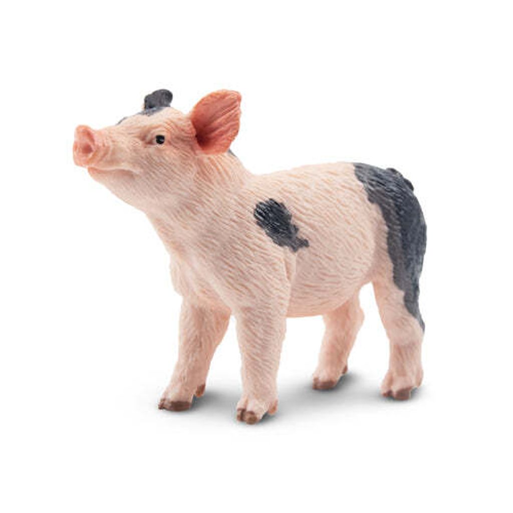 ToymanyGazingGreyPigletFigurineToy-front