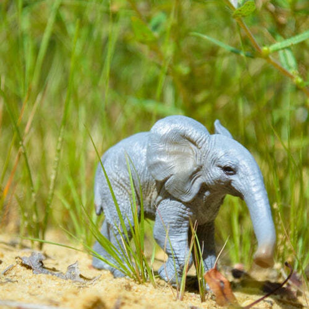 Toymany_Elephant_Calf_Figurine_Toy_-_Small_Size-7