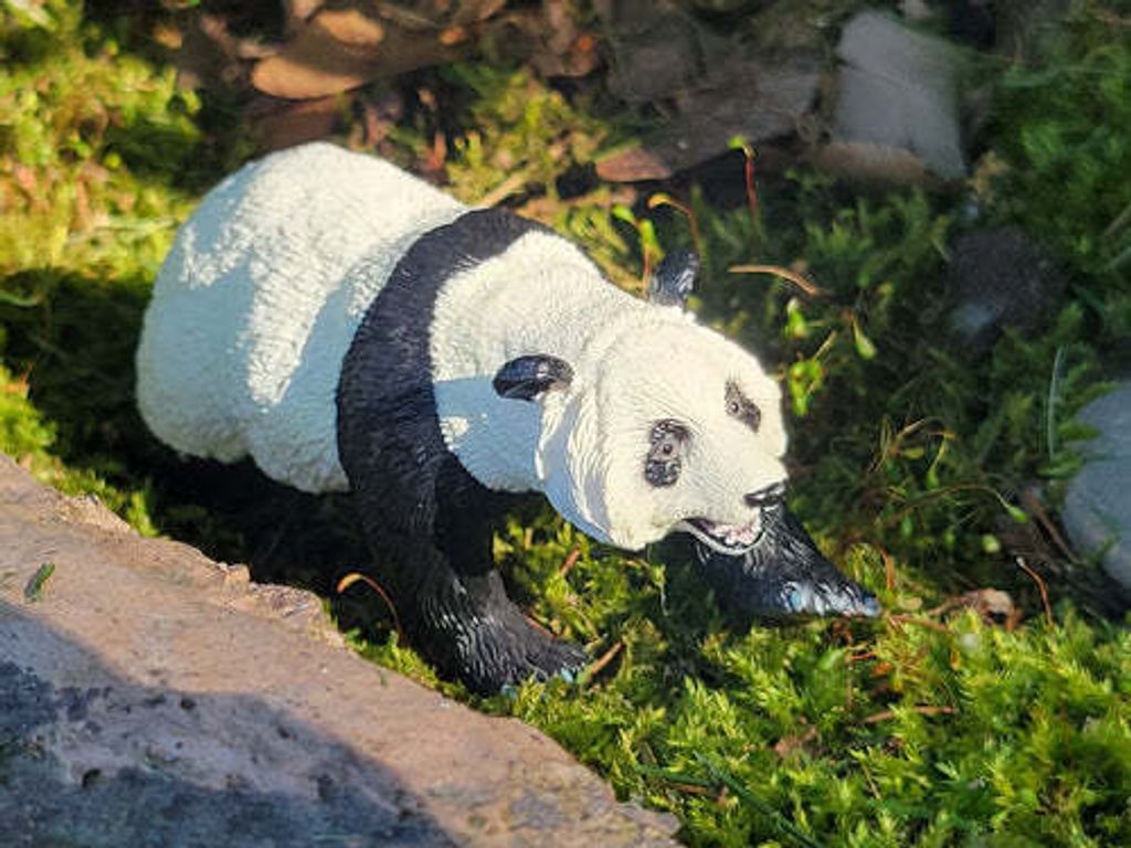 ToymanyFemaleGiantPandaFigurineToy-outdoor