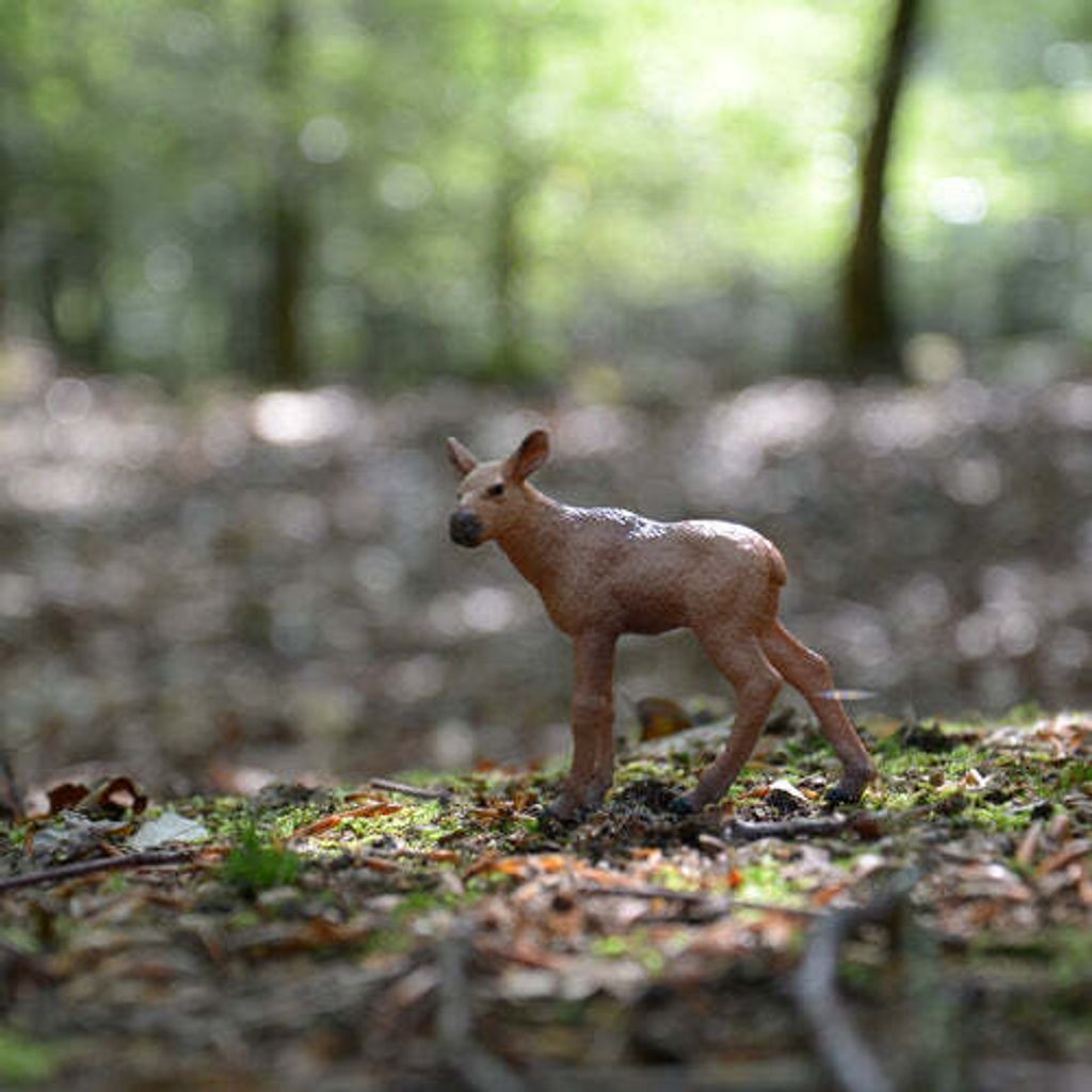 Toymany_Moose_Calf_Figurine_Toy_-_Small_Size-6