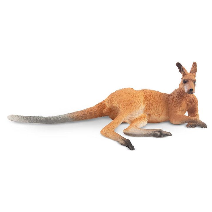 ToymanyLyingKangaroo