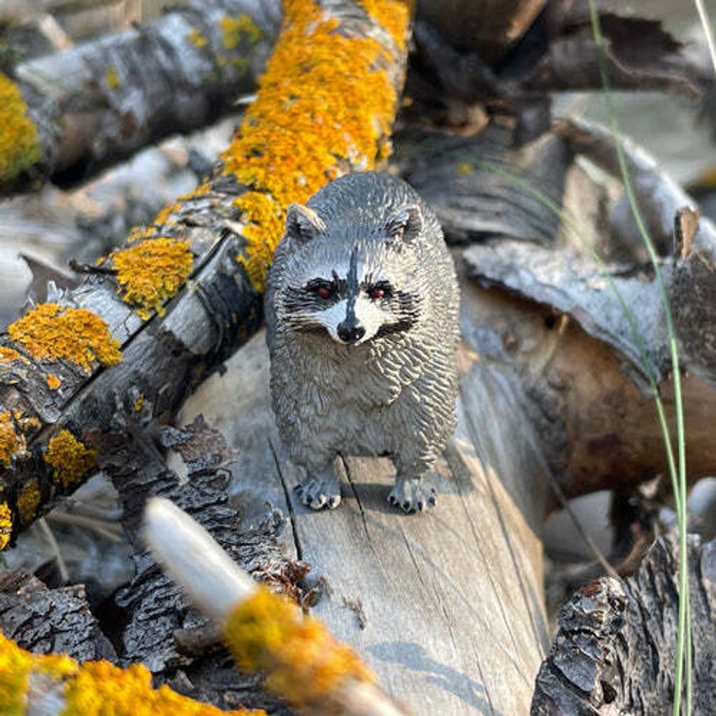 Toymany_Raccoon_Figurine_Toy-outdoor-2