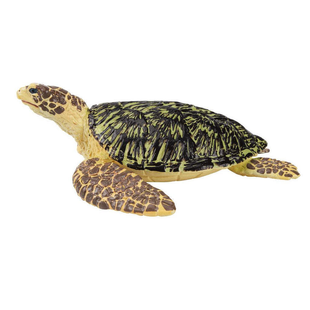 Toymany_Green_Sea_Turtle_Figurine_Toy