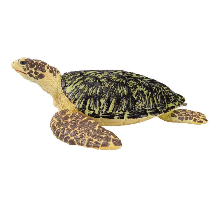 Toymany_Green_Sea_Turtle_Figurine_Toy