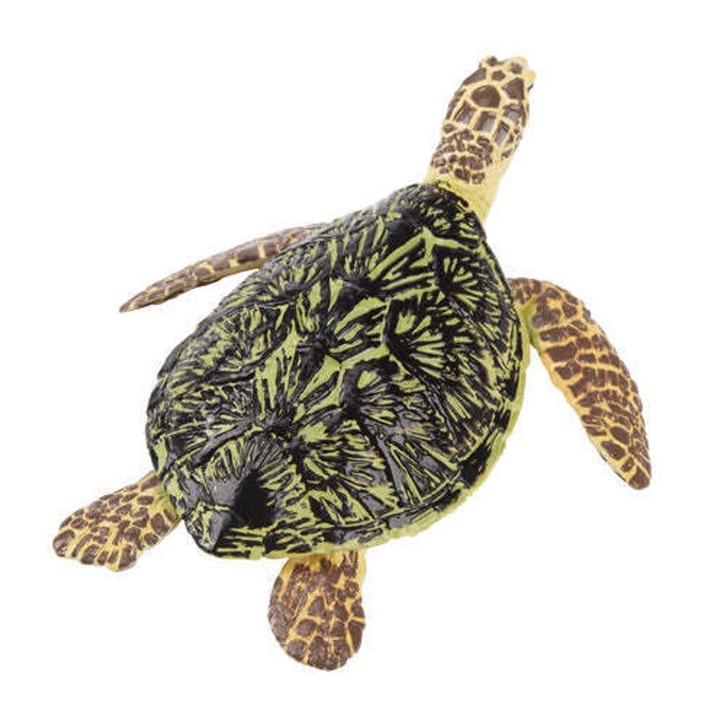 Toymany_Green_Sea_Turtle_Figurine_Toy-back