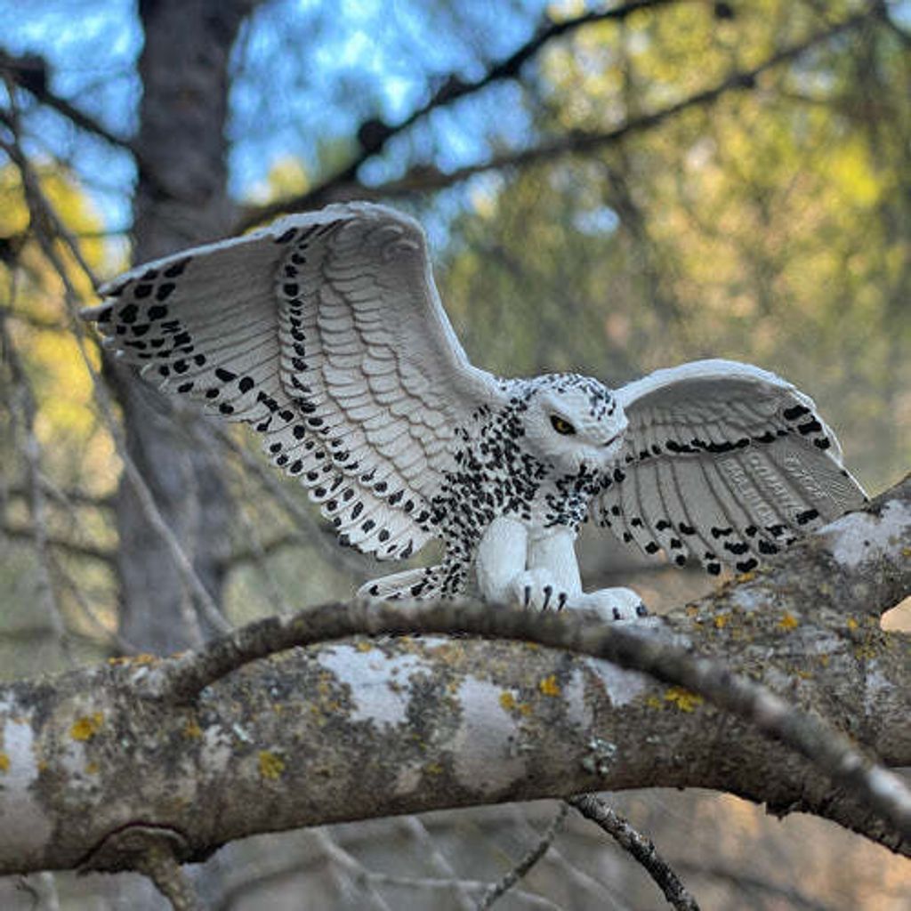 Toymany_Snowy_Owl_Figurine_Toy-outdoor-2