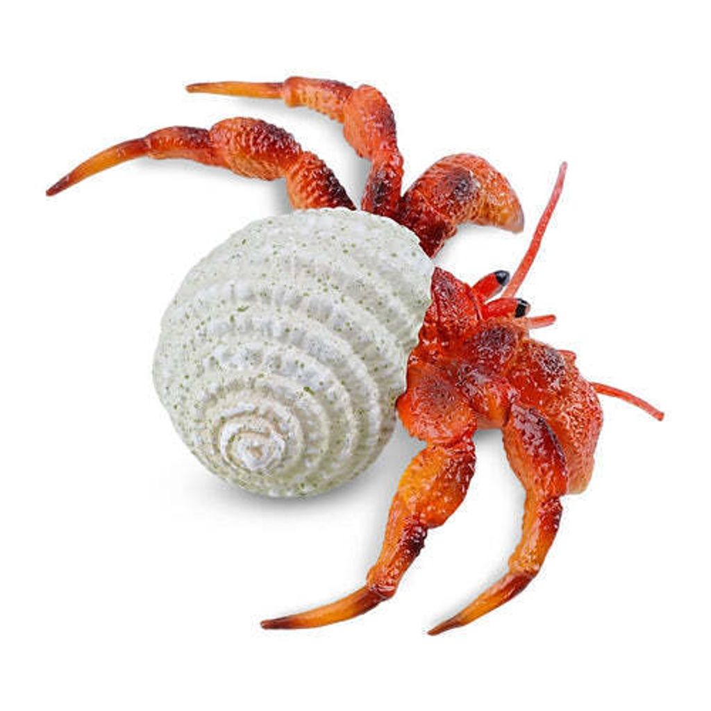 Toymany_Hermit_Crab_Figurine_Toy_Small_Size-3