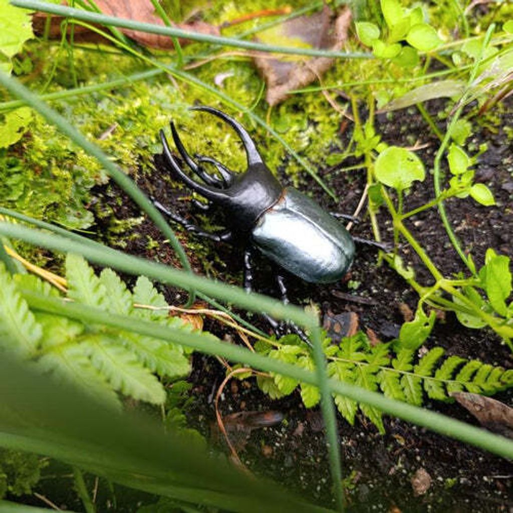 Toymany_Atlas_Beetle_Figurine_Toy-7