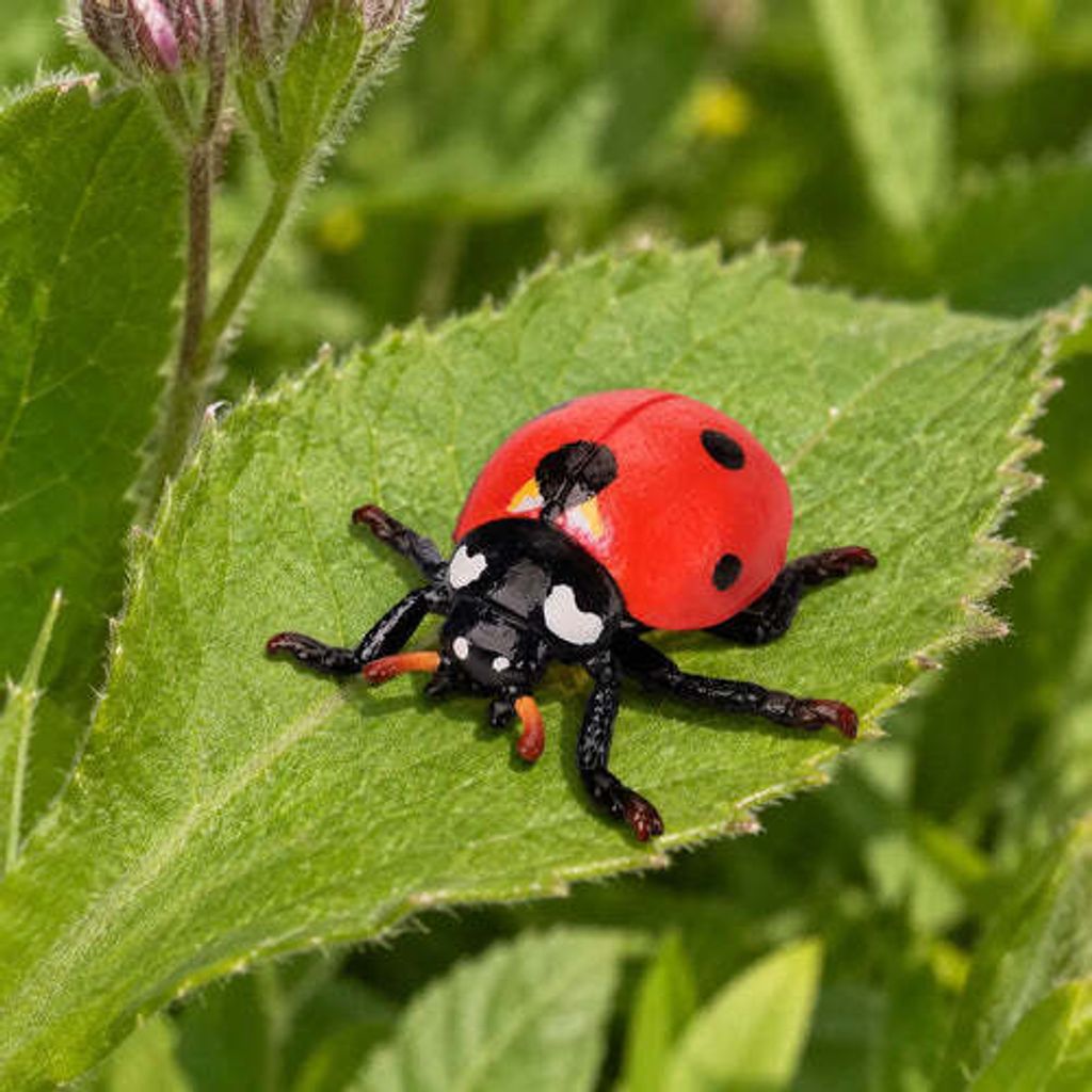 Toymany_Seven-Spotted_Ladybug_Figurine_Toy-scene