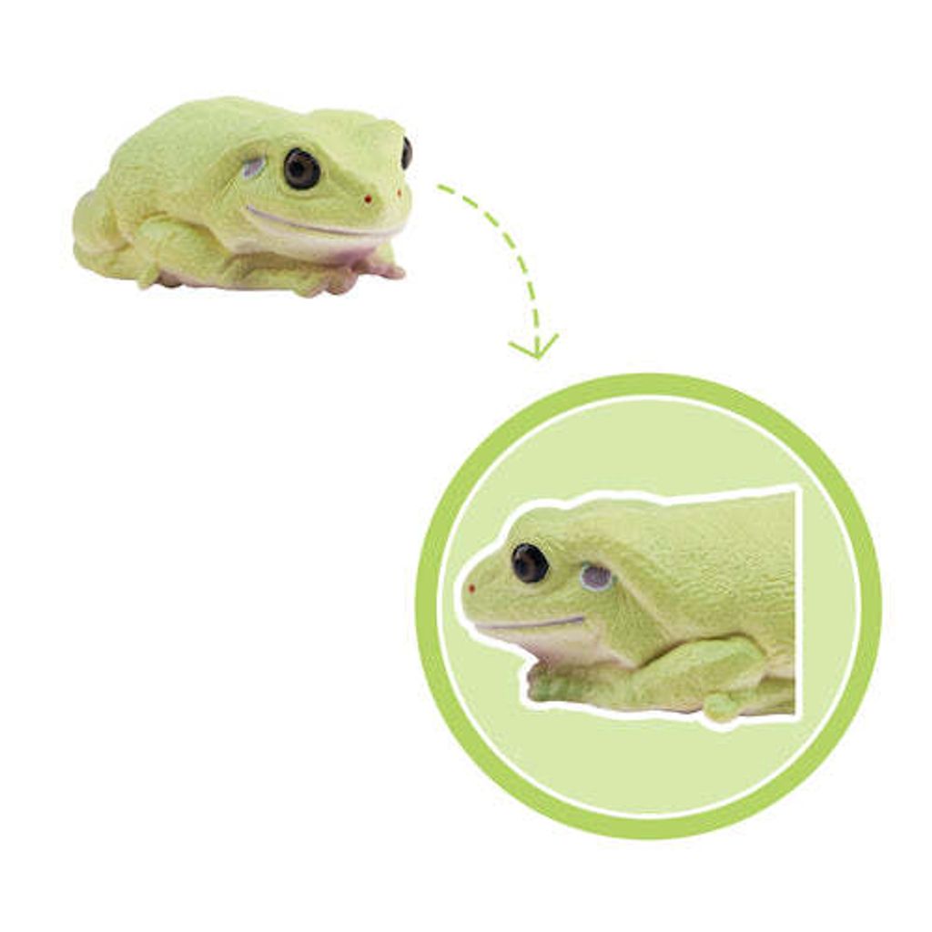 ToymanyAustralianGreenTreeFrogFigurineToy-detail