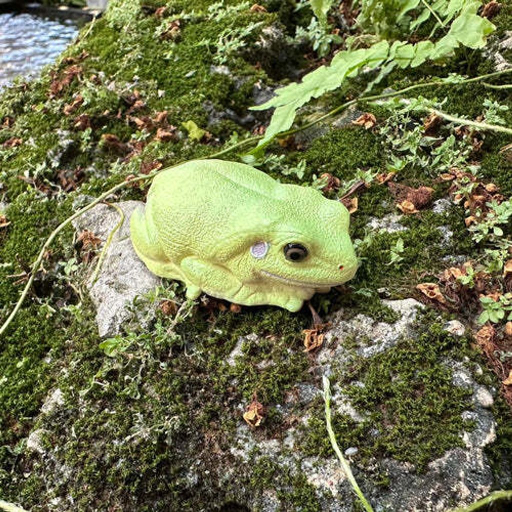 Toymany_Australian_Green_Tree_Frog_Figurine_Toy-6