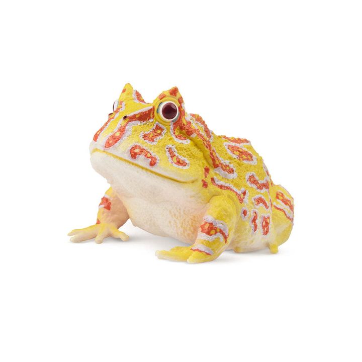 ToymanyArgentineHornedFrogFigurineToy