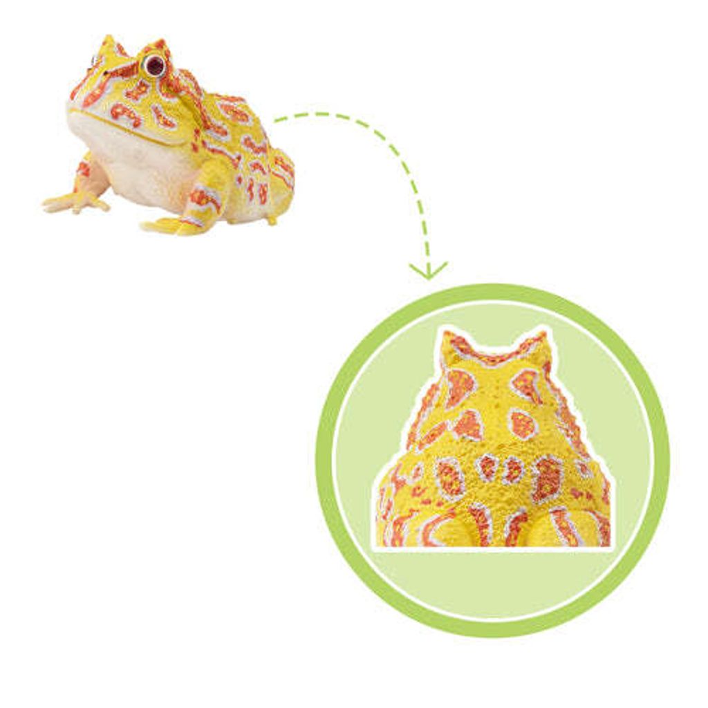 ToymanyArgentineHornedFrogFigurineToy-detail