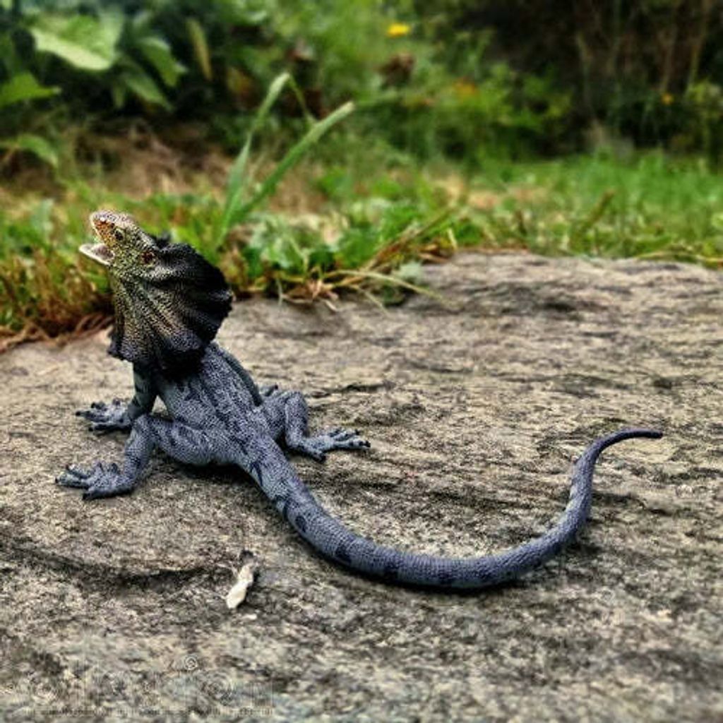 Toymany_Frilled_Lizard_Figurine_Toy-outdoor-2
