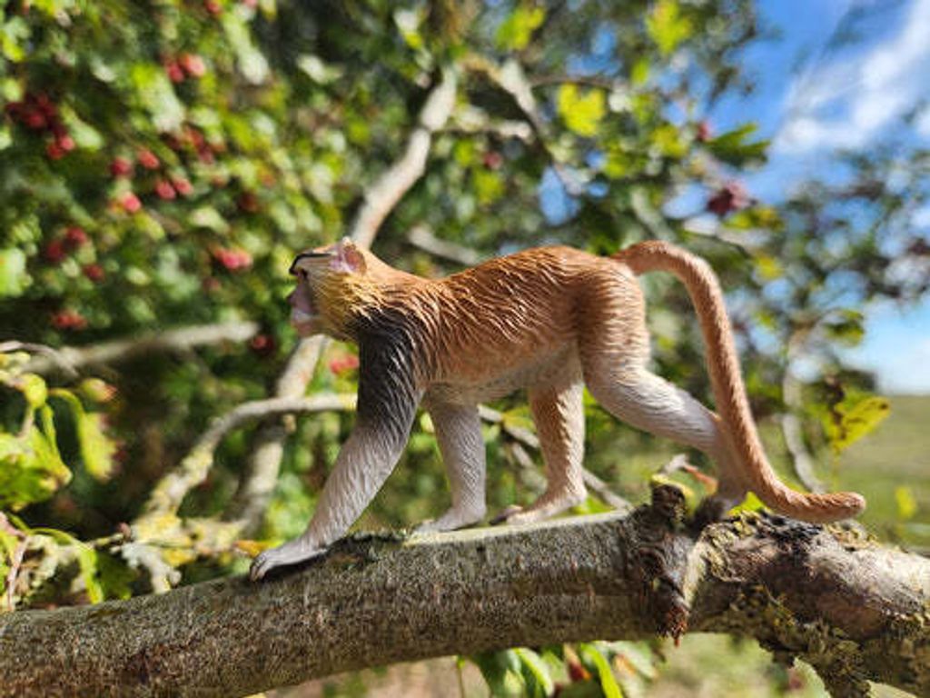 Toymany_Patas_Monkey_Figurine_Toy-7
