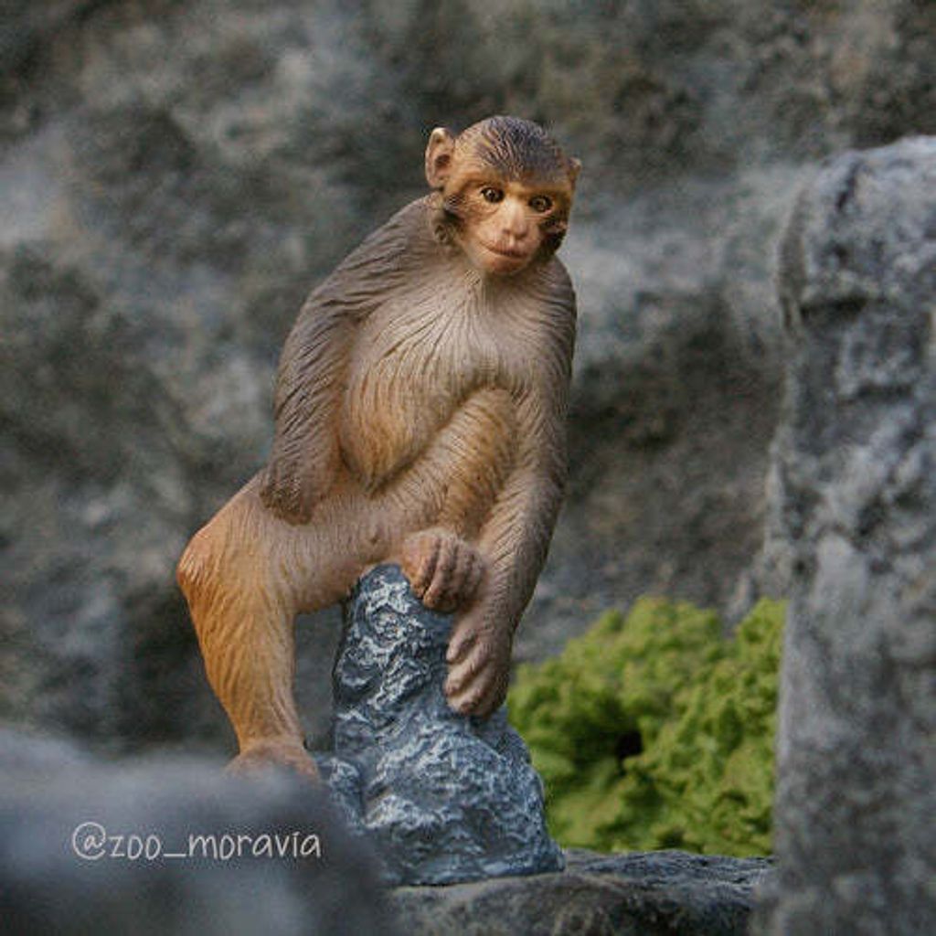 Toymany_Macaque_Figurine_Toy-6