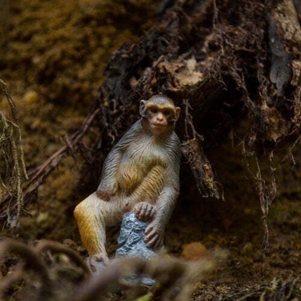 Toymany_Macaque_Figurine_Toy-7