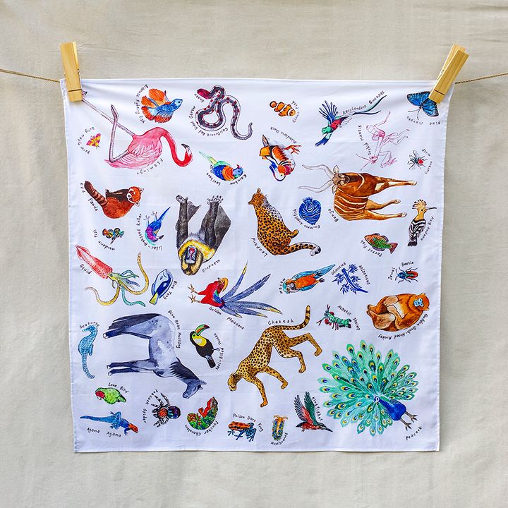 worldsmostcolourfulanimals
