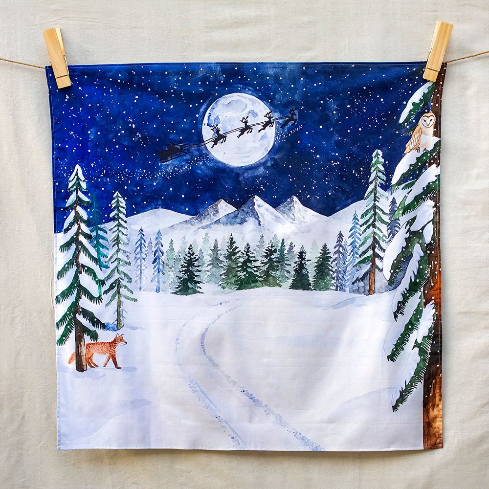 onestarrywintersnight