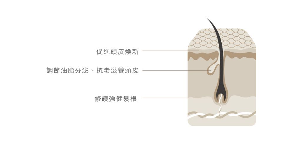 products_green-21-views-202105110828364235